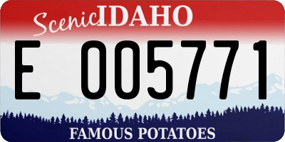 ID license plate E005771