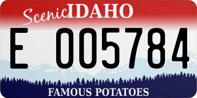 ID license plate E005784