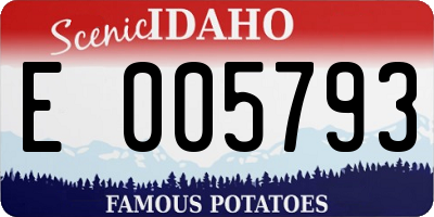 ID license plate E005793