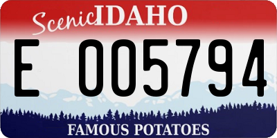 ID license plate E005794