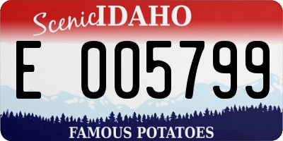 ID license plate E005799