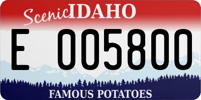 ID license plate E005800