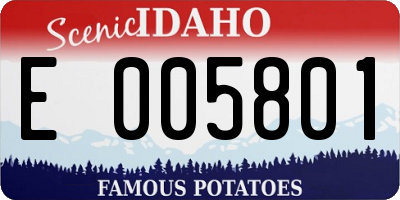 ID license plate E005801