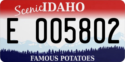 ID license plate E005802