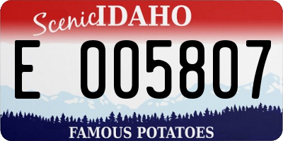 ID license plate E005807