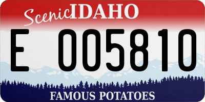 ID license plate E005810