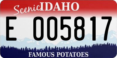 ID license plate E005817