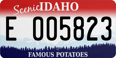 ID license plate E005823