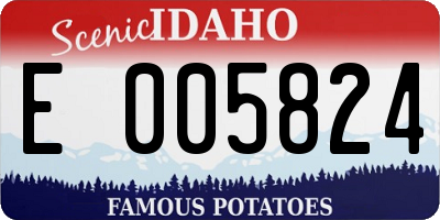 ID license plate E005824