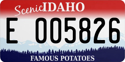 ID license plate E005826