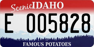 ID license plate E005828