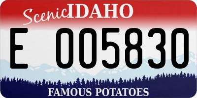 ID license plate E005830