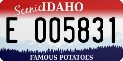 ID license plate E005831