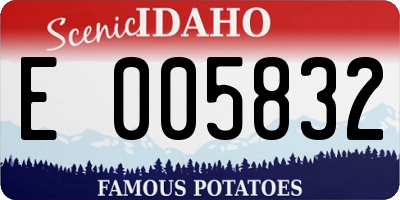 ID license plate E005832