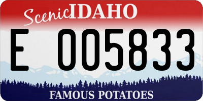 ID license plate E005833