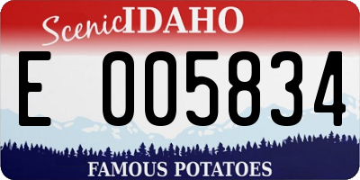 ID license plate E005834