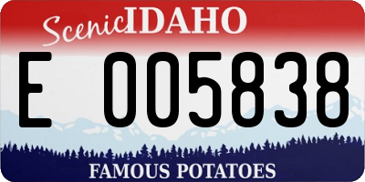 ID license plate E005838