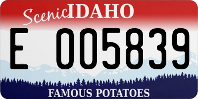 ID license plate E005839