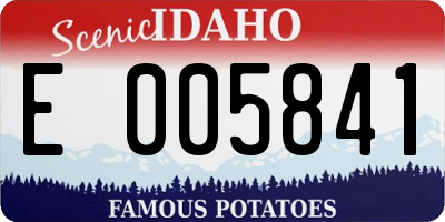 ID license plate E005841