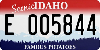 ID license plate E005844
