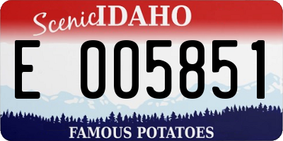 ID license plate E005851