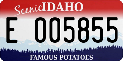 ID license plate E005855