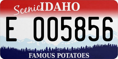 ID license plate E005856