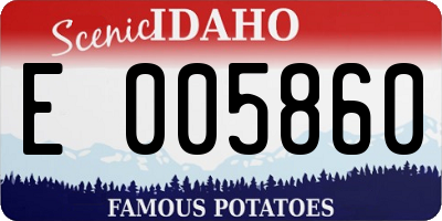 ID license plate E005860