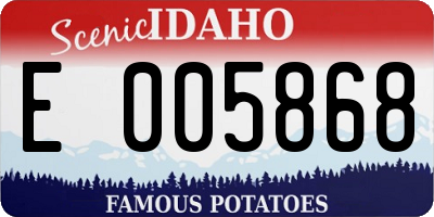 ID license plate E005868