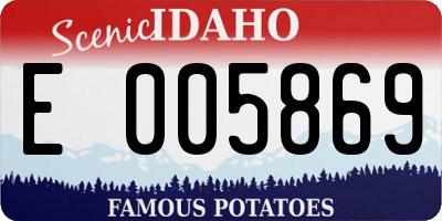 ID license plate E005869