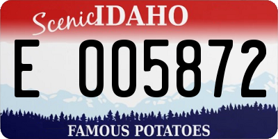 ID license plate E005872