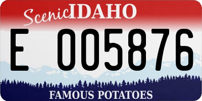 ID license plate E005876