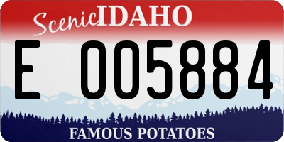 ID license plate E005884