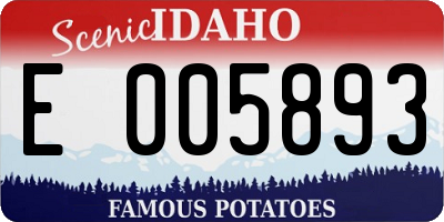 ID license plate E005893