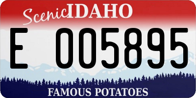 ID license plate E005895