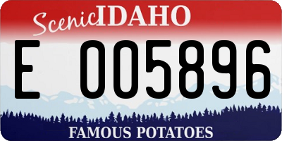 ID license plate E005896