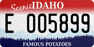 ID license plate E005899