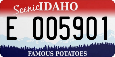 ID license plate E005901