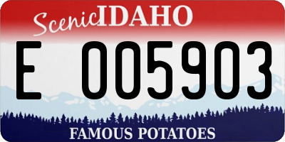 ID license plate E005903