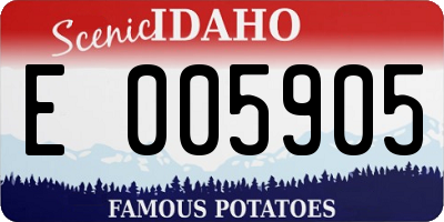 ID license plate E005905
