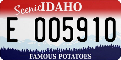 ID license plate E005910