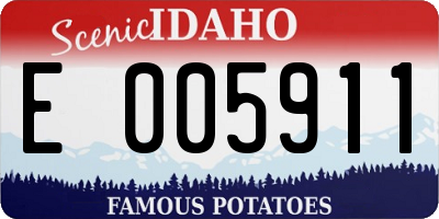 ID license plate E005911