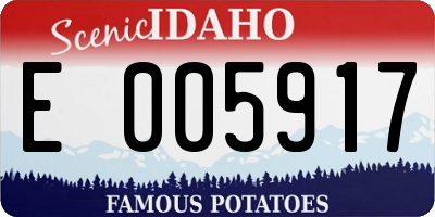 ID license plate E005917