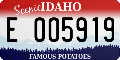 ID license plate E005919