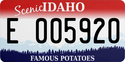 ID license plate E005920