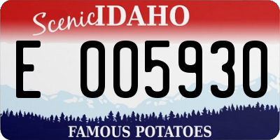 ID license plate E005930