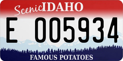 ID license plate E005934