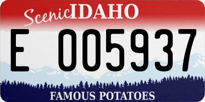 ID license plate E005937