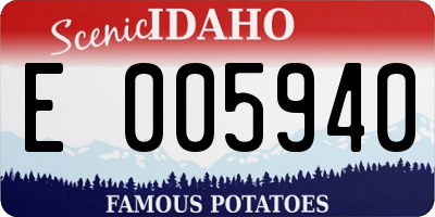 ID license plate E005940