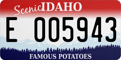 ID license plate E005943